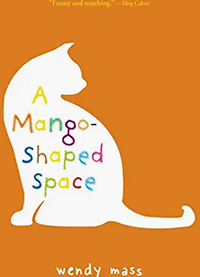 A Mango-Shaped Space cover